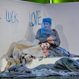 butterfly_1_20170411_1290686788